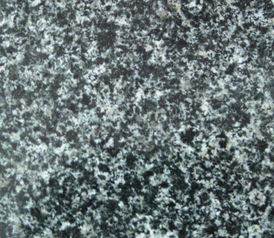 森林綠高清圖片與人工智能在阜平縣下莊石材廠的應(yīng)用前景