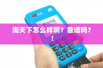 淘天下移動支付設備評測 靠譜與便利并存，但需謹慎選擇